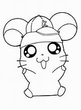 Hamster Coloring Pages Getcolorings Cute Name Printable sketch template