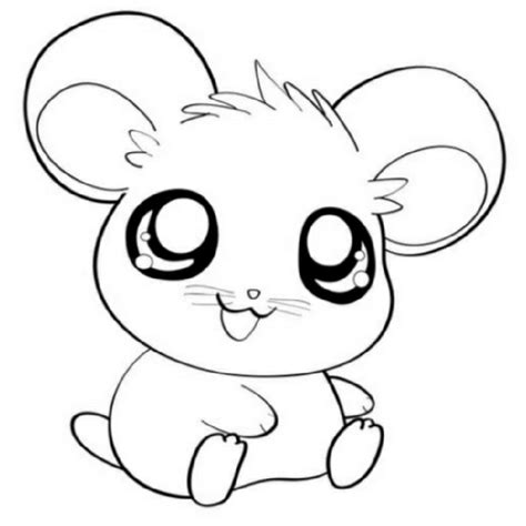 cute animal coloring pages small  worksheets