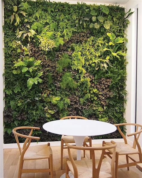indoor garden ideas  beautify  home vertical garden