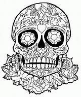 Coloring Pages Skull Cool Skulls Popular Roses sketch template
