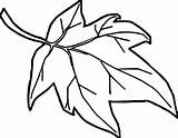 Entitlementtrap Arce Poinsettia Clipartmag Grapes Otoño Everfreecoloring Getdrawings sketch template