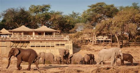 Belmond Savute Elephant Lodge In Chobe National Park Luxury Safari In