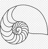 Fibonacci Sequence Nautilus Toppng sketch template