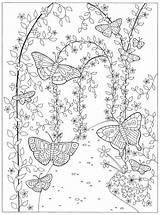 Garden Colouring Adults Magical Preston Lizzie Coloring Pages Butterfly Book Adult Flowers Secret Printable Color Kids Print Sheets Gardens Mandala sketch template