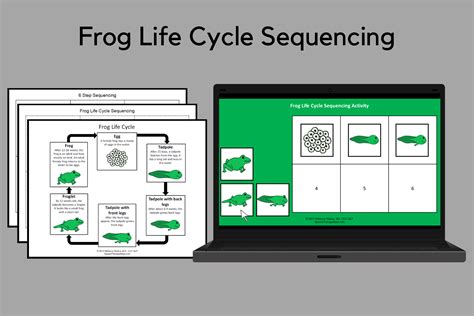 frog life cycle sequencing activity speech therapy ideas