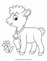 Coloring Lamb Baby Pages Printable Animal Color Primarygames Easter Spring Animals Ebook sketch template