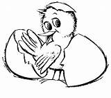 Hatching Coloring Pages Chick Clap Hand His Color sketch template