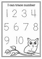 Owl Preschool Worksheet Math Craft Tracing Numbers Worksheets Number Trace Kindergarten Teachersmag Nursery Kids Activities Writing Letter Students Printables Owls sketch template