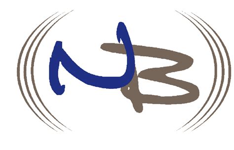 nb logo northern broadband llc
