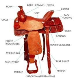 lesson  saddle fitting