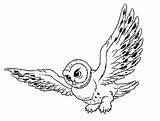 Eule Hedwig Ausmalen Bird sketch template