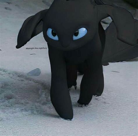 toothless x reader httyd 3 part 2 page 2 wattpad