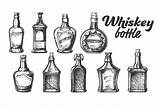 Whisky Scotch Flaschen Satz Schottischer Sammlung Vektors Flasche Thehungryjpeg sketch template