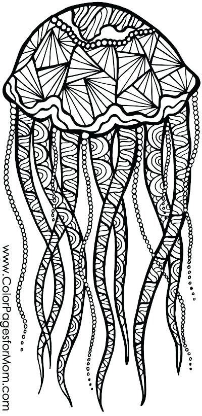 animal coloring pages animal coloring page jungle animal coloring pages