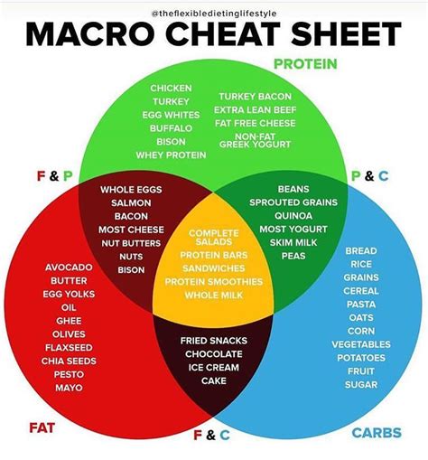 new to tracking your macros here s a cheat sheet to help you know