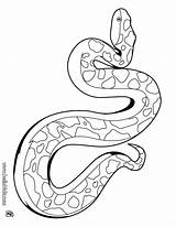 Garter Drawing Snake Coiled Coloring Getdrawings sketch template