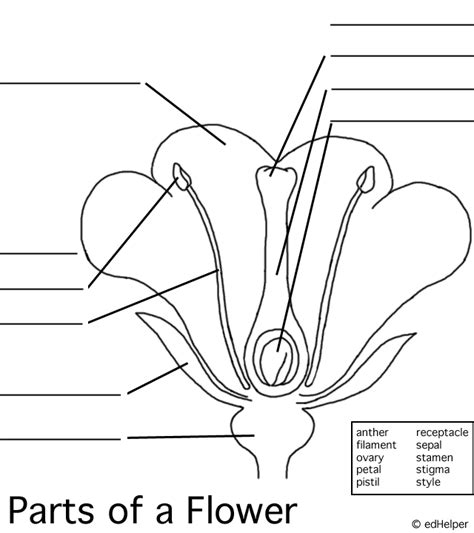 awesome blank image  parts  flower  review   parts
