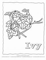 Ivy Coloring Pages Leaf Leaves Printable Template Doodle Lets Kids Templates Zentangle Color Wildlife Wonderweirded Crafts Popular Azcoloring Nature sketch template