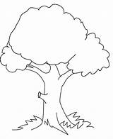 Coloring Tree Pages Printable Kids Big Oak Trees Online Print Bah Popular sketch template