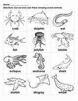 Ocean Animals Sea Coloring Pages Animal Creatures Printable Kids Worksheets Drawing Amazing Cards Tide Yahoo Ecosystem Pool Under Preschool Zones sketch template