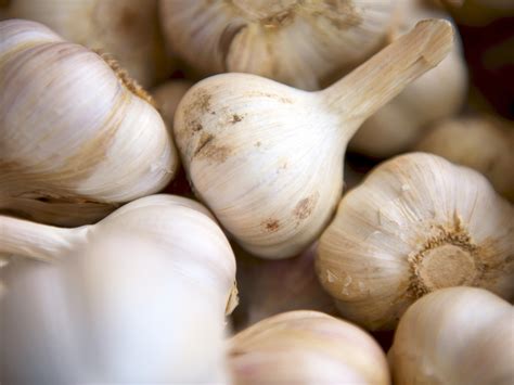 what are the health benefits of garlic