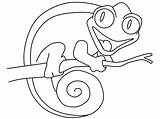 Chameleon Coloring Pages Mixed Drawing Outline Color Template Printable Colouring Print Cameleon Lizard Kids Lizards Sheets Chameleons Cute Getdrawings Popular sketch template