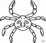 Crab Coloring Spider Kids Pages Printable Hermit Designlooter Looks Click 65kb 1200 Drawings sketch template