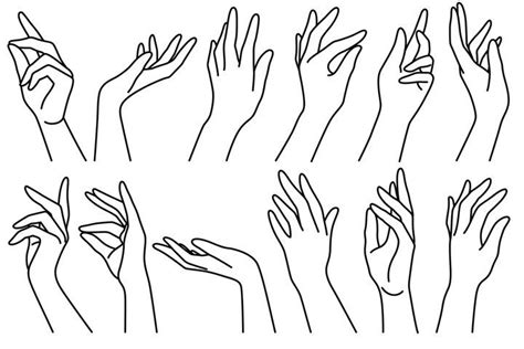 woman hands  outline drawn female  position el
