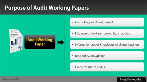 audit working papers examples cameron tanner