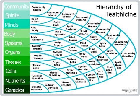 hierarchy  healthicine history  exploration oct   update