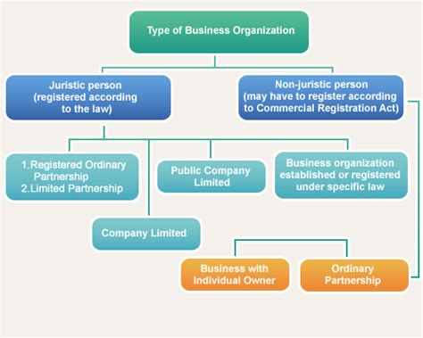 advantages  disadvantages  business organization type
