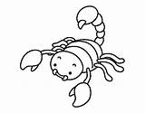 Scorpion Coloring Pages Raised Sting Colorear Color Coloringcrew Insects Getcolorings sketch template