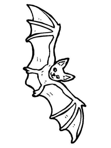 vampire bat coloring pages coloring home