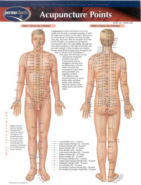 acupuncture points perma chart opis supplies shop