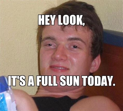 high guy meme enjoys  sunny day