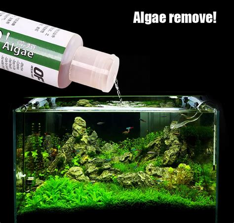 algaecides algea solution algae remove aquarium water plant clean brown black hair algae kill
