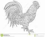 Coloring Raster Rooster sketch template