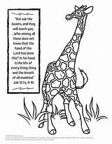 Giraffe Enjoying Kidsenjoyingjesus sketch template