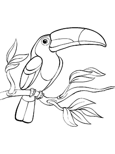 easy fox coloring pages  adults toucan coloring pages