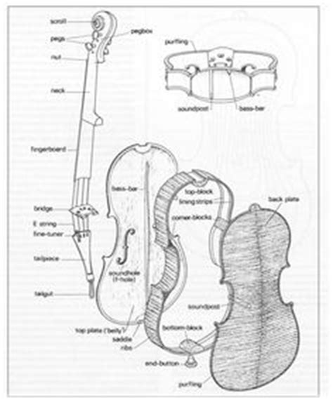 violin parts diagram violin anatomy pinterest