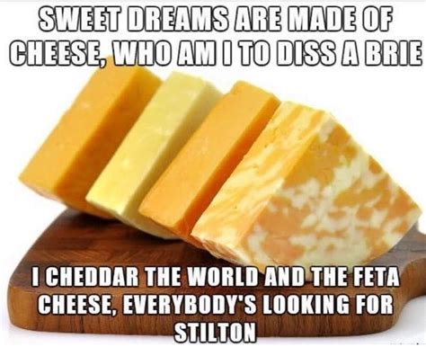 Feeling Lactose Tolerant About These Cheese Memes 23 Pics