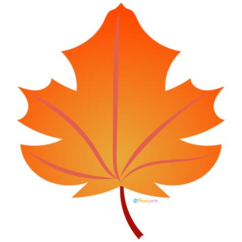 maple leaf clipart  graphics fairy clip art library