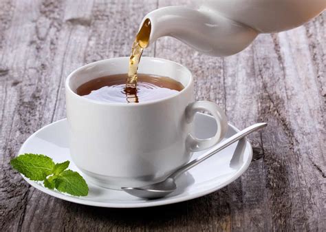guide  tea center  food  medicine
