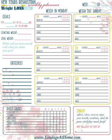 weight loss journal printables  patients  preexisting