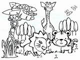 Animals Rainforest Coloring Pages Tropical Color Printable Print sketch template