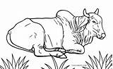Cow Coloring Pages Cool2bkids Printable Kids sketch template