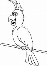 Parrot Seeking sketch template