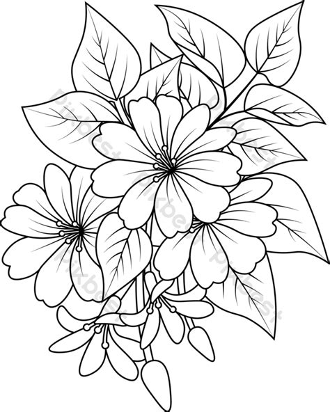 flower coloring page  black  white outline clipart  printing
