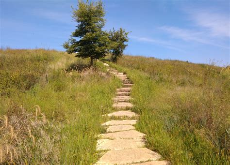 henry  palmisano nature park mount bridgeport