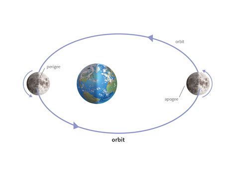 orbit 1 noun definition pictures pronunciation and usage notes
